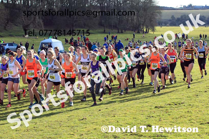 Senior womens 2023 NEHL, Thornley Farm, Peterlee, County Durham. Photo: David T. Hewitson/Sports for All Pics